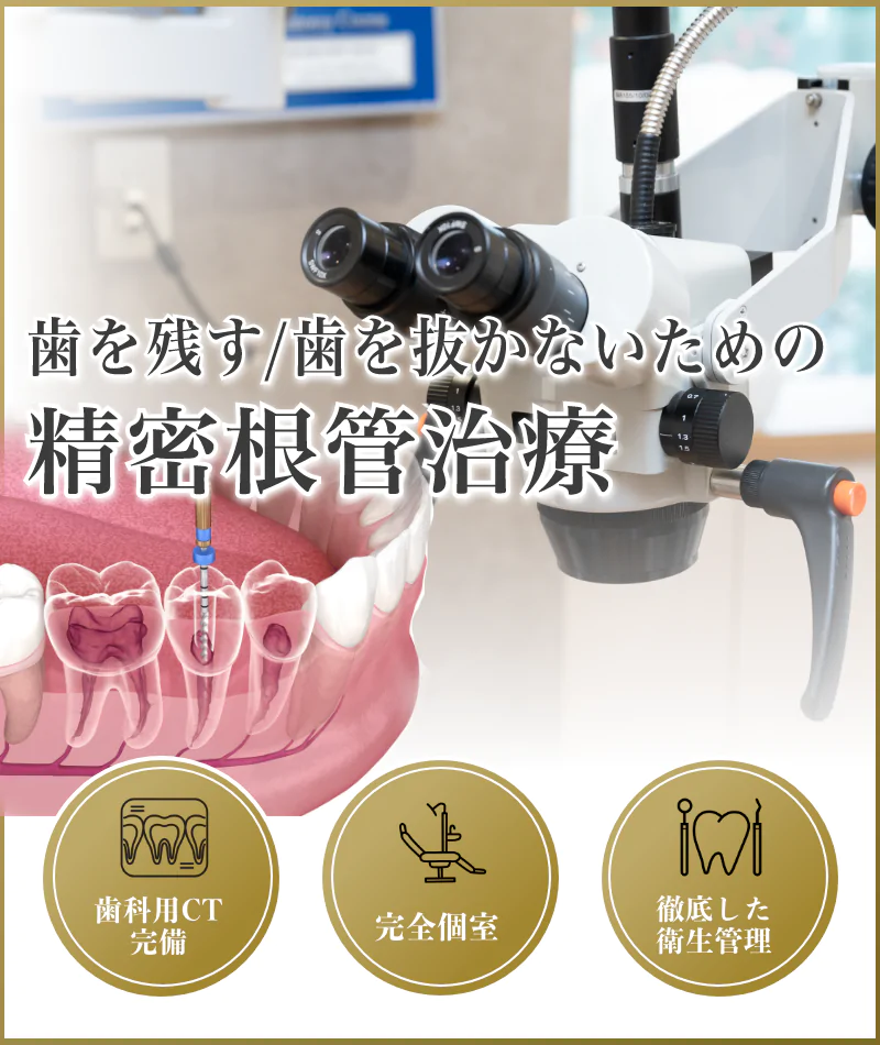 歯を残す・歯を抜かないための精密根管治療